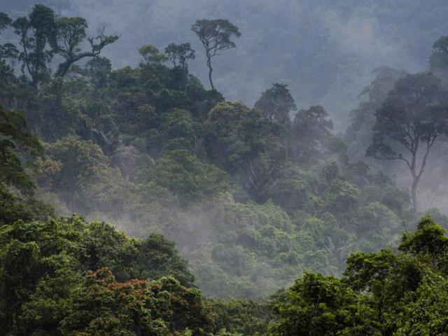 Annamite Mountains, Vietnam