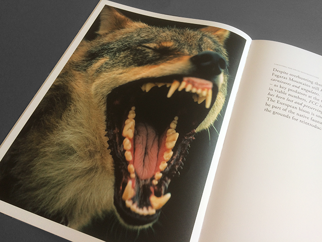 High definition text pages printed on Edixion 170gsm uncoated stock from Antalis