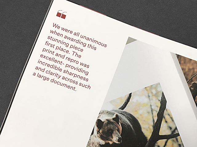 Judges comments on award winning brochure